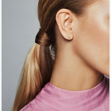 Load image into Gallery viewer, My Lucky Horseshoe Single Stud Earring